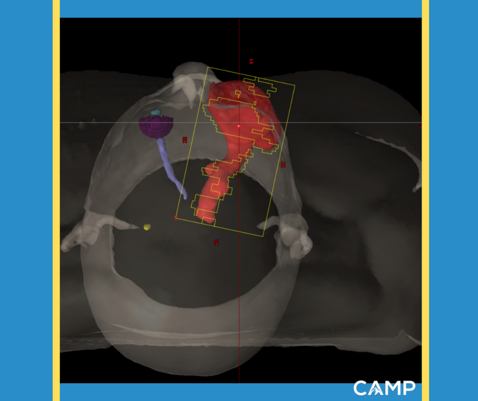 medical dosimetry CAMP