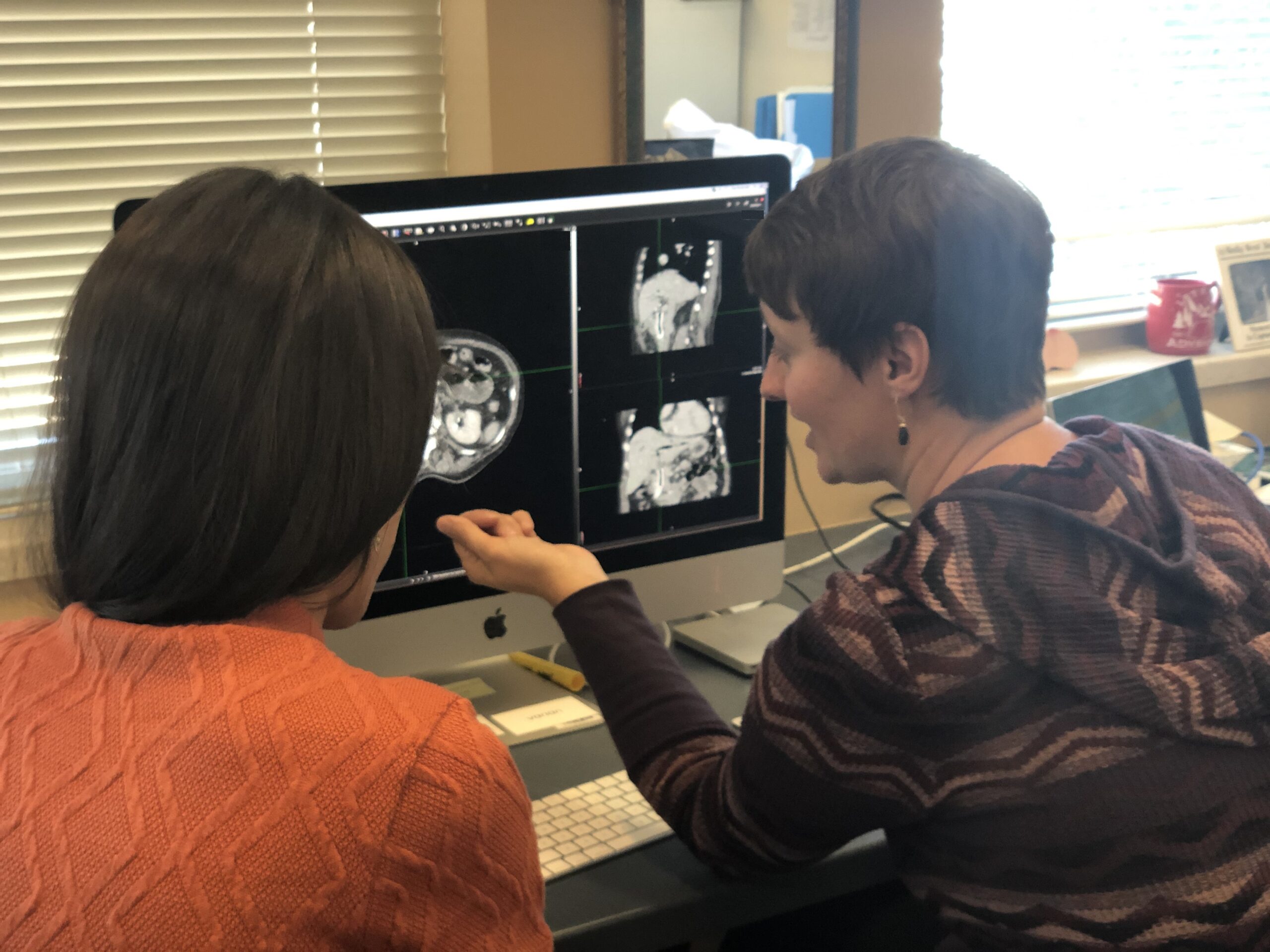 two medical physicists looking at the computer